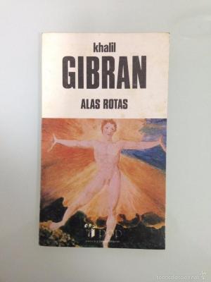 Cover of the book Alas rotas by Julio Verne