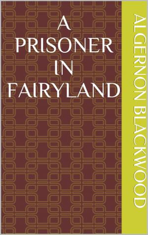 Cover of the book A Prisoner in Fairyland by E. Nesbit