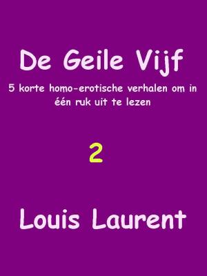 Book cover of De Geile Vijf Twee