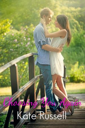 Cover of the book Choosing You Again by N.M. Silber