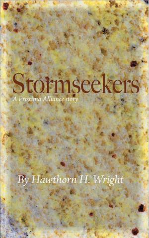 Book cover of Stormseekers