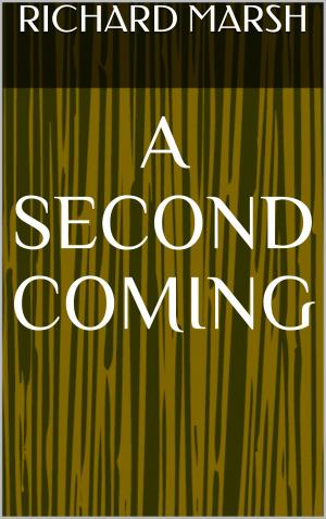 Cover of the book A Second Coming by Harriet Beecher Stowe