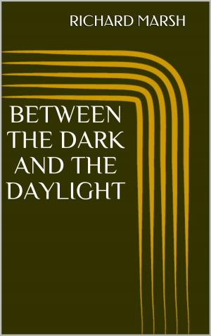 Cover of the book Between the Dark and the Daylight by Anna Katharine Green