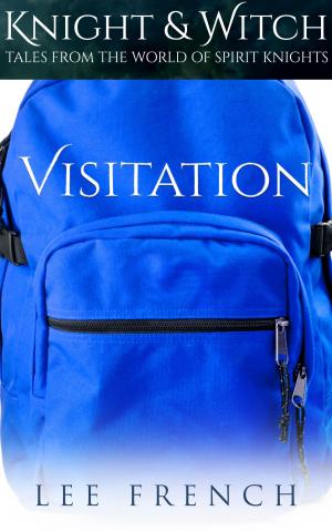 Cover of Visitation