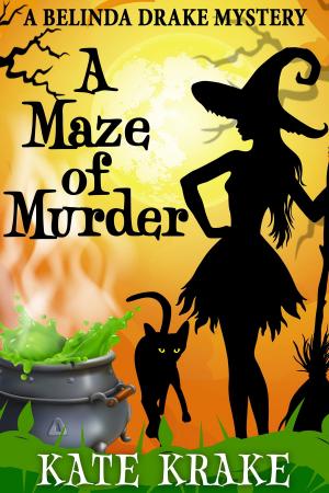 Cover of the book A Maze of Murder by Nancy Warren