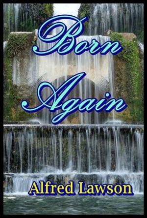 Cover of the book Born Again by John Kendrick Bangs