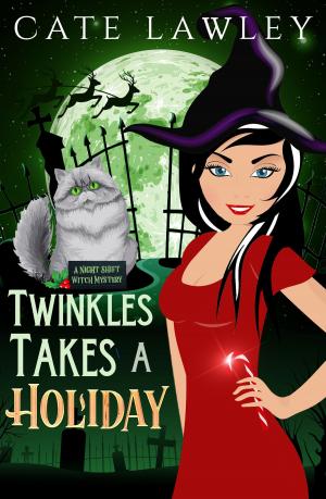 Cover of the book Twinkles Takes a Holiday by Rebecca Cramer