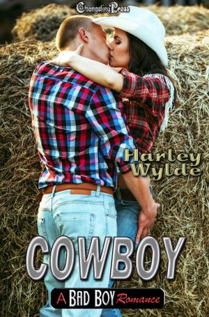 Cover of the book Cowboy by Ashlynn Monroe