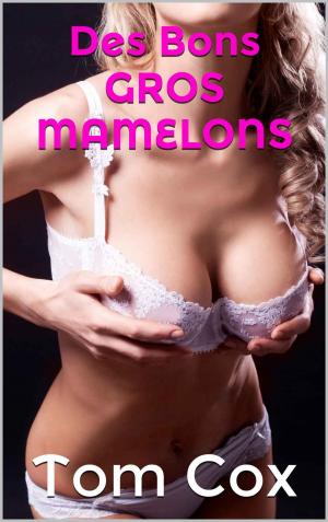 Cover of the book Des Bons Gros Mamelons by Tom Cox