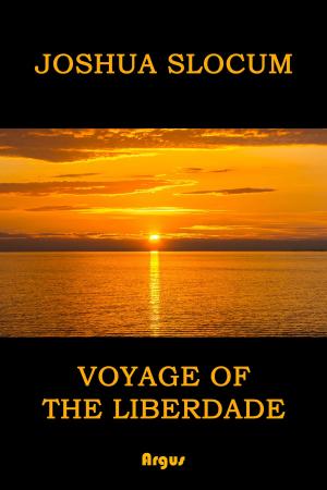 Cover of the book Voyage of the Liberdade by martha hampton