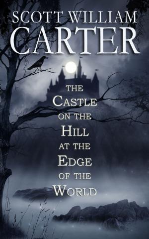 Cover of the book The Castle on the Hill at the Edge of the World by Tim Tracer