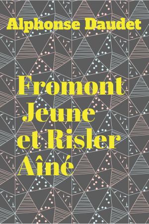 Cover of the book Fromont Jeune et Risler Aîné by Amanda Dubin