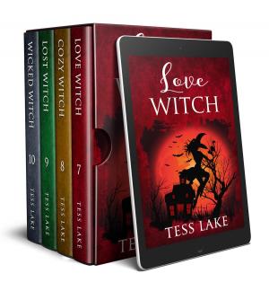 Book cover of Torrent Witches Cozy Mysteries Box Set #3 Books 7 - 10 (Love Witch, Cozy Witch, Lost Witch, Wicked Witch)