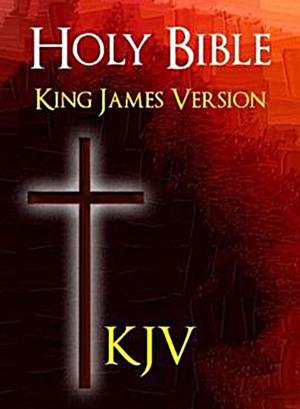 Book cover of Holy Bible