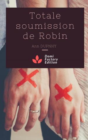 Cover of the book Totale soumission de Robin by Delaney Silver