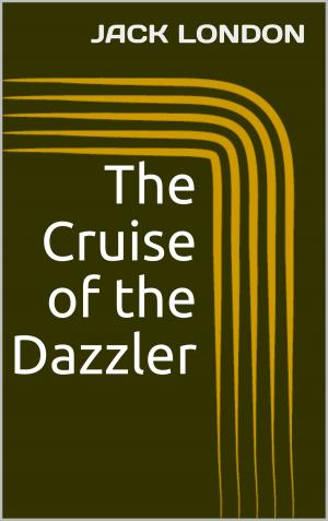 Cover of the book The Cruise of the Dazzler by John Schmidt