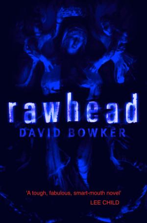 Book cover of RAWHEAD
