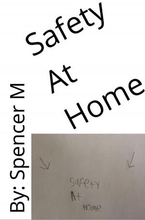 Book cover of Safety At Home