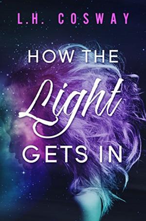 Cover of How the Light Gets In