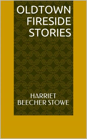 Cover of Oldtown Fireside Stories