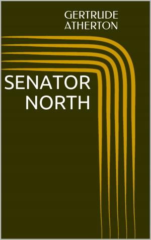 Book cover of Senator North