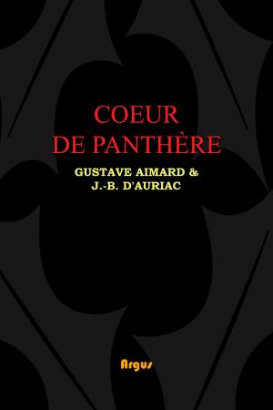 Book cover of Cœur de Panthère