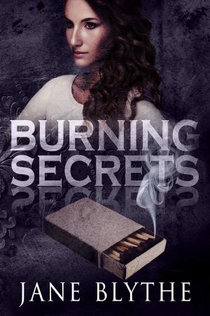 Cover of the book Burning Secrets by Kat Heckenback, Steve Rzasa