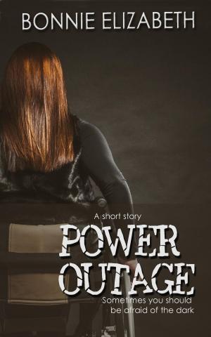 Cover of the book Power Outage by William Ross, Michael Taylor