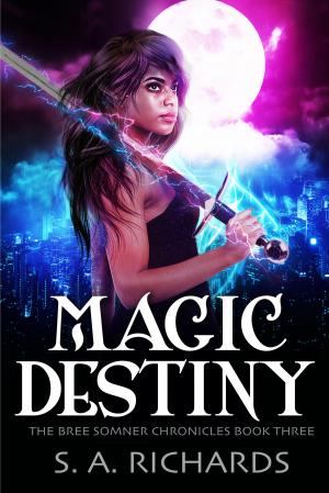 Cover of the book Magic Destiny by David Gallaspy