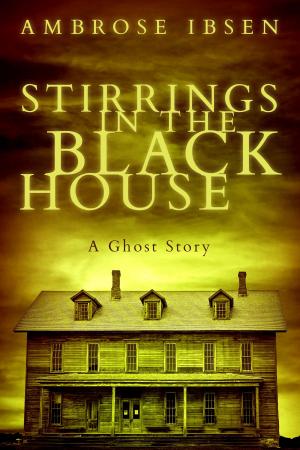 Cover of the book Stirrings in the Black House by Trent Zelazny