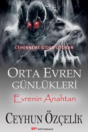 Cover of the book Orta Evren Günlükleri by Christine Donovan