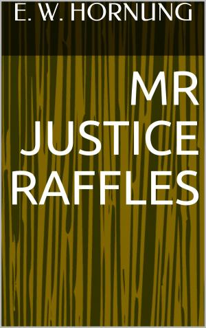 Book cover of Mr Justice Raffles
