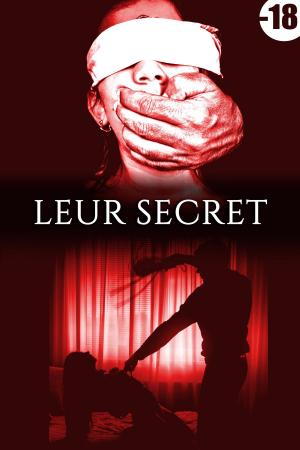 Book cover of Leur Secret