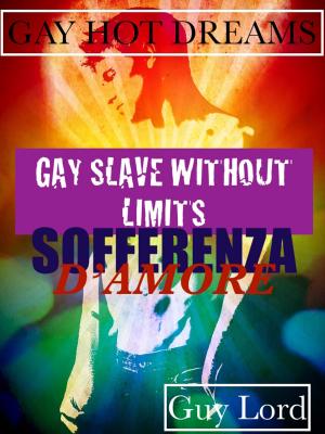 Cover of the book Gay slave without limits by AfroErotic