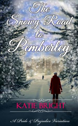 Cover of the book The Snowy Road to Pemberley by Amy Stephens