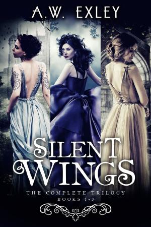Cover of the book Silent Wings by Erin Keyser Horn