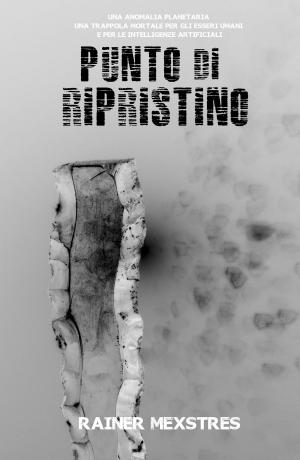 Cover of Punto di Ripristino