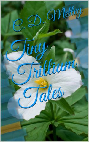 Cover of the book Tiny Trillium Tales by Gina Moretti