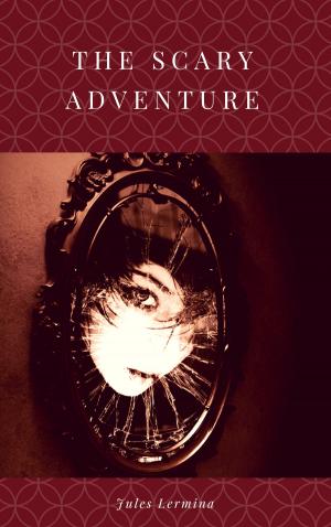 Cover of The Scary Adventure