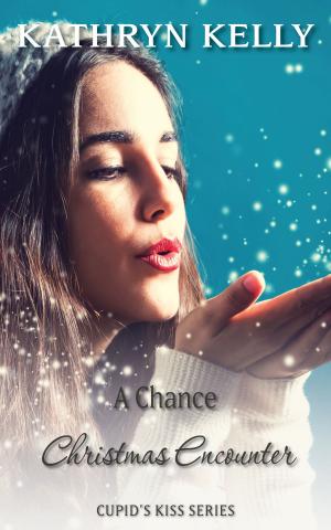 Cover of the book A Chance Christmas Encounter by Kathryn Kelly