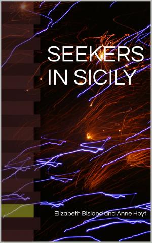 Book cover of SEEKERS IN SICILY