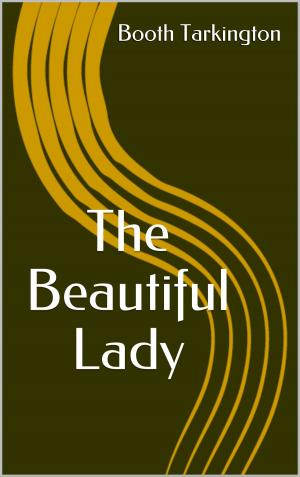 Cover of the book The Beautiful Lady by J. M. Barrie