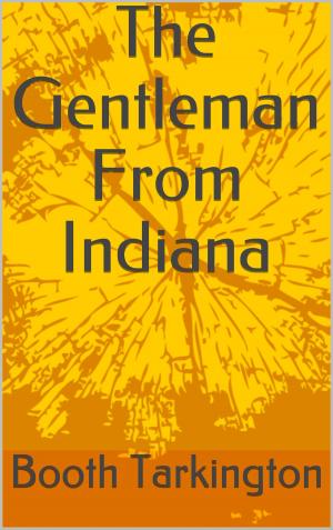 Cover of the book The Gentleman From Indiana by Erika Innocenti