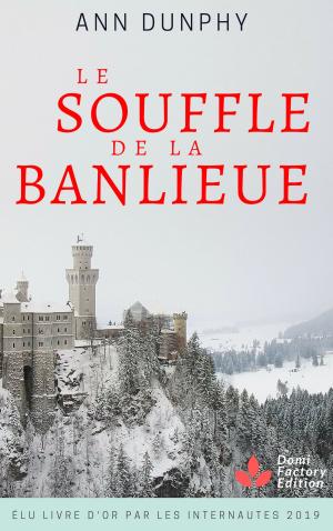 Book cover of Le souffle de la banlieue