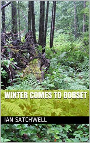 Cover of the book Winter comes to Dorset by Michael Collins