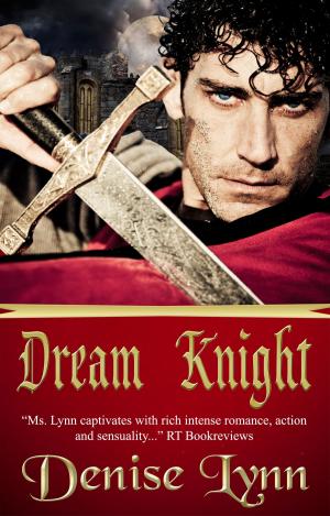 Book cover of Dream Knight