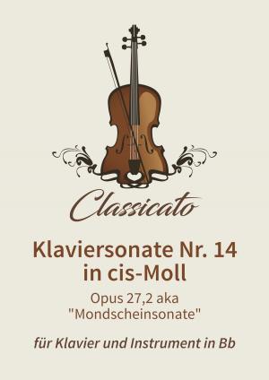 Cover of the book Klaviersonate Nr. 14 in cis-Moll by Johann Schrammel, Petro Petrivik