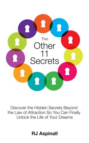 Book cover of The Other 11 Secrets
