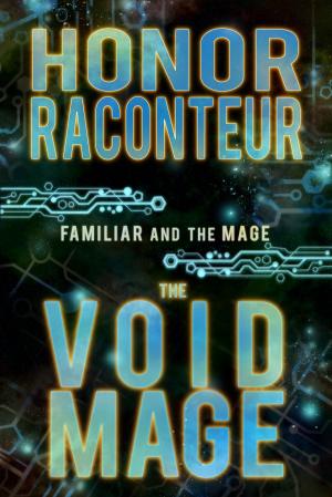 Book cover of The Void Mage