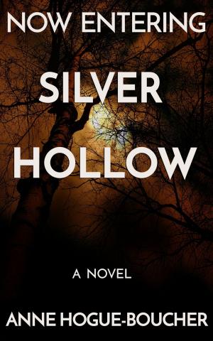 Cover of the book Now Entering Silver Hollow by Alex King